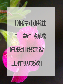 湘潭市推进“三新”领域妇联组织建设工作见成效