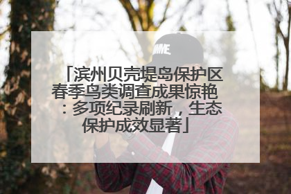 滨州贝壳堤岛保护区春季鸟类调查成果惊艳：多项纪录刷新，生态保护成效显著