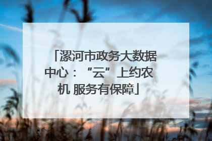 漯河市政务大数据中心：“云”上约农机 服务有保障