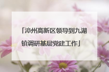 漳州高新区领导到九湖镇调研基层党建工作