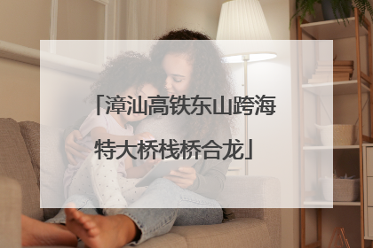 漳汕高铁东山跨海特大桥栈桥合龙