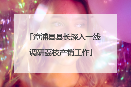 漳浦县县长深入一线调研荔枝产销工作