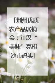 荆州优质农产品展销会：江汉“美味”亮相沙市码头