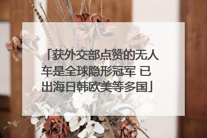 获外交部点赞的无人车是全球隐形冠军 已出海日韩欧美等多国