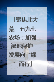 聚焦北大荒｜五九七农场：加强湿地保护 发展向“绿”而行
