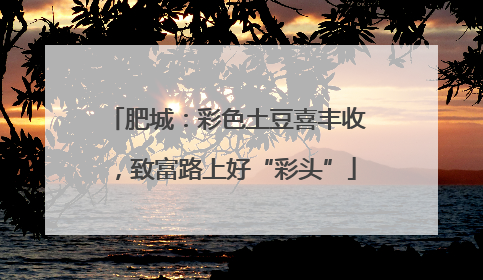 肥城：彩色土豆喜丰收，致富路上好“彩头”