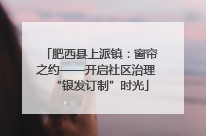肥西县上派镇：窗帘之约——开启社区治理“银发订制”时光