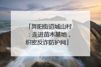 舞阳街道城山村：走进苗木基地，织密反诈防护网