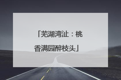 芜湖湾沚：桃香满园醉枝头