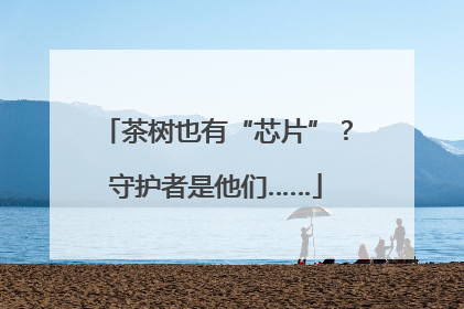 茶树也有“芯片”？守护者是他们……