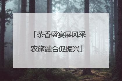 茶香盛宴展风采 农旅融合促振兴