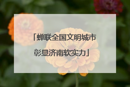 蝉联全国文明城市 彰显济南软实力