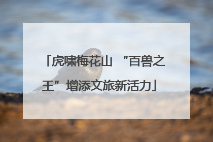 虎啸梅花山 “百兽之王”增添文旅新活力