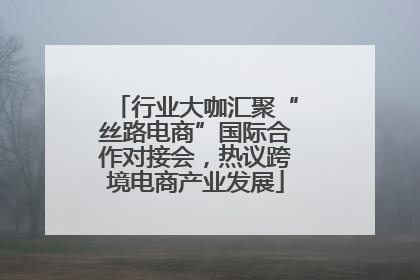 行业大咖汇聚“丝路电商”国际合作对接会，热议跨境电商产业发展