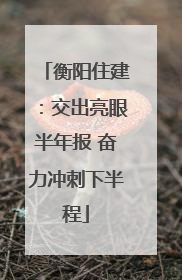 衡阳住建：交出亮眼半年报 奋力冲刺下半程