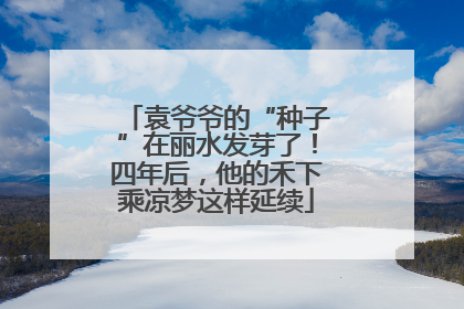 袁爷爷的“种子”在丽水发芽了！四年后，他的禾下乘凉梦这样延续
