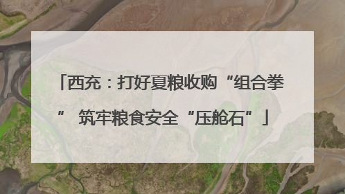 西充：打好夏粮收购“组合拳” 筑牢粮食安全“压舱石”