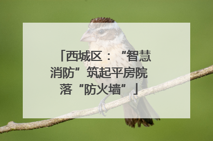 西城区：“智慧消防”筑起平房院落“防火墙”