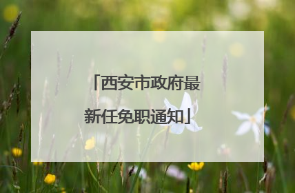 西安市政府最新任免职通知
