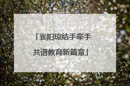 襄阳琼结手牵手 共谱教育新篇章