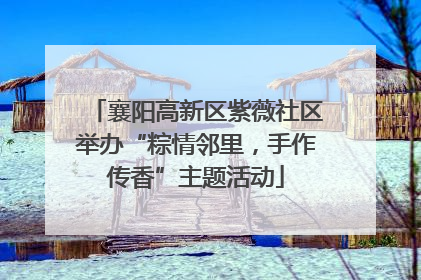 襄阳高新区紫薇社区举办“粽情邻里，手作传香”主题活动