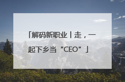 解码新职业丨走，一起下乡当“CEO”