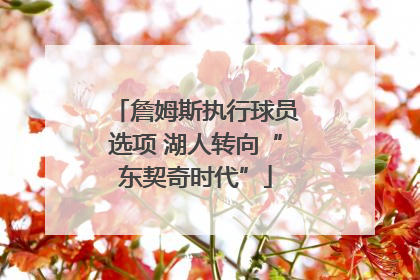 詹姆斯执行球员选项 湖人转向“东契奇时代”