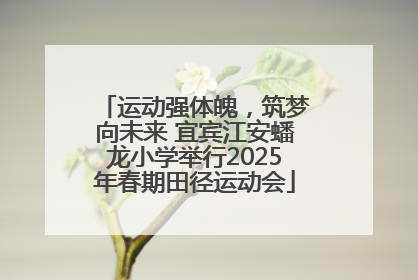 运动强体魄，筑梦向未来 宜宾江安蟠龙小学举行2025年春期田径运动会