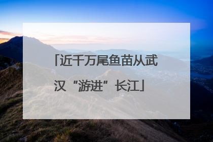 近千万尾鱼苗从武汉“游进”长江