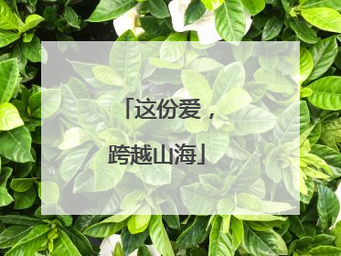 这份爱，跨越山海