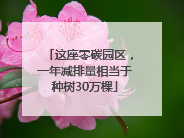 这座零碳园区，一年减排量相当于种树30万棵