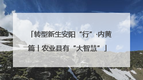 转型新生安阳“行”·内黄篇丨农业县有“大智慧”