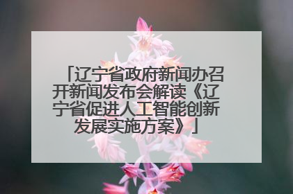 辽宁省政府新闻办召开新闻发布会解读《辽宁省促进人工智能创新发展实施方案》