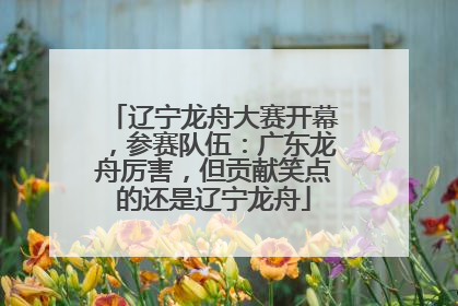 辽宁龙舟大赛开幕，参赛队伍：广东龙舟厉害，但贡献笑点的还是辽宁龙舟
