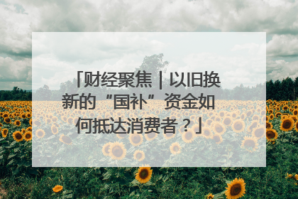 财经聚焦｜以旧换新的“国补”资金如何抵达消费者？