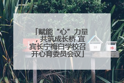 赋能“心”力量，共筑成长桥 宜宾长宁梅白学校召开心育委员会议