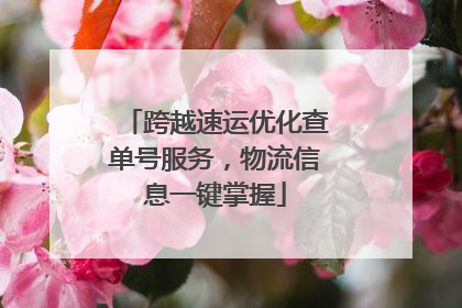 跨越速运优化查单号服务，物流信息一键掌握