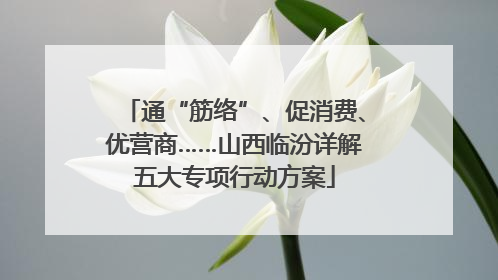 通“筋络”、促消费、优营商……山西临汾详解五大专项行动方案