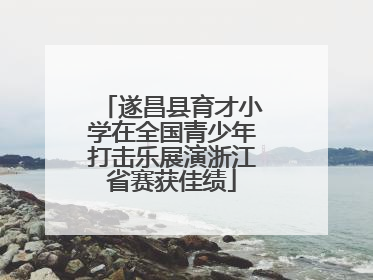 遂昌县育才小学在全国青少年打击乐展演浙江省赛获佳绩