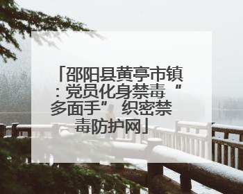 邵阳县黄亭市镇：党员化身禁毒“多面手” 织密禁毒防护网