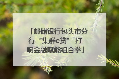 邮储银行包头市分行“集群e贷” 打响金融赋能组合拳