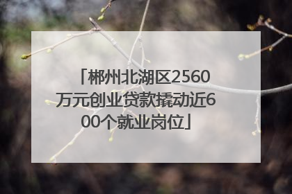 郴州北湖区2560万元创业贷款撬动近600个就业岗位