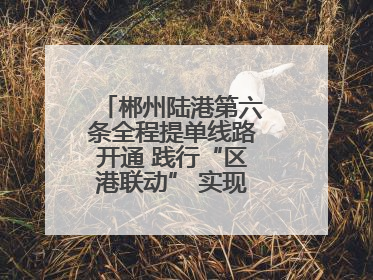 郴州陆港第六条全程提单线路开通 践行“区港联动” 实现“半日通关”