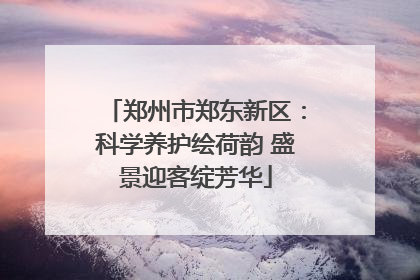 郑州市郑东新区：科学养护绘荷韵 盛景迎客绽芳华