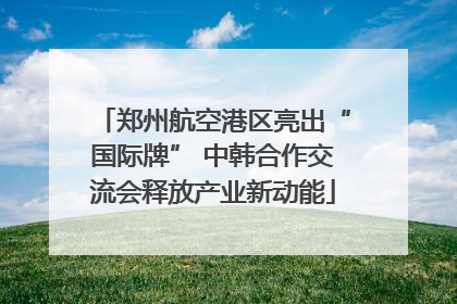 郑州航空港区亮出“国际牌” 中韩合作交流会释放产业新动能