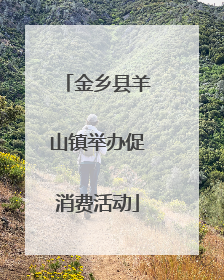 金乡县羊山镇举办促消费活动