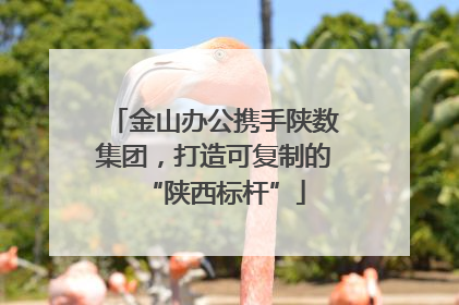金山办公携手陕数集团，打造可复制的“陕西标杆”