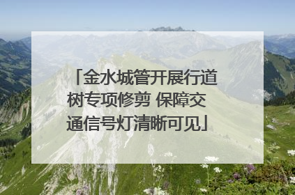 金水城管开展行道树专项修剪 保障交通信号灯清晰可见