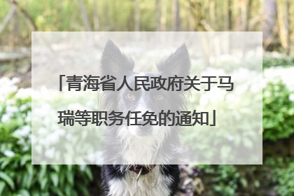青海省人民政府关于马瑞等职务任免的通知