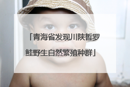 青海省发现川陕哲罗鲑野生自然繁殖种群
